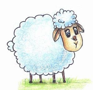 стихи про овечку